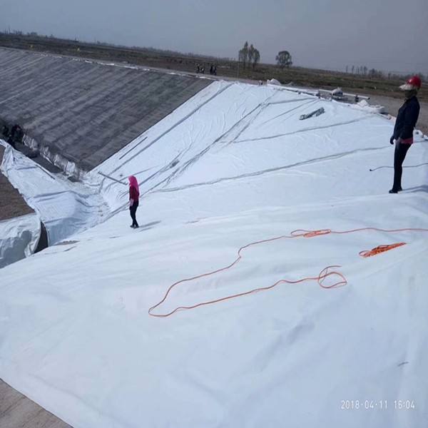 复合樱花草在线社区膜