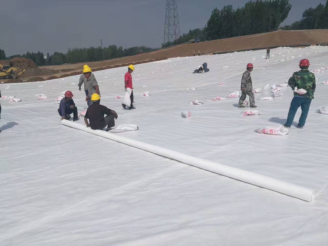 公路工程中樱花草在线社区布的物理特性有哪些？